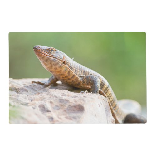 Plated Lizard Placemat