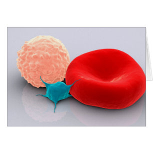 Platelet, Red And White Blood Cells Cards