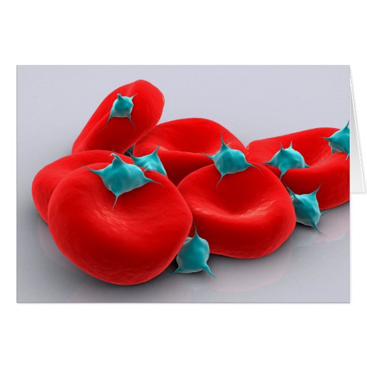 Platelets With Red Blood Cells 1 Cards (Front Horizontal)