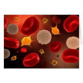 Platelets With Red Blood Cells 2 (Front Horizontal)