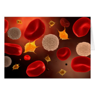 Platelets With Red Blood Cells 2 Cards