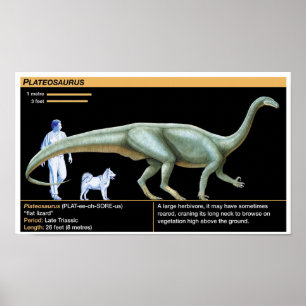 Plateosaurus - Biology Jurassic Poster