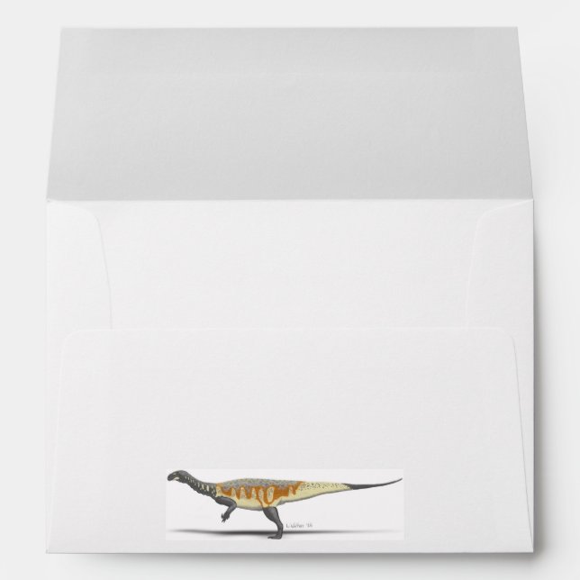 Plateosaurus envelope (Back (Bottom))