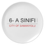 6- A SINIFI  Plates