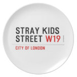 Stray Kids Street  Plates