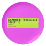 Khanyisile Tshabalala Street  Plates