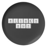 hussien
 hasn  Plates