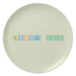 Thinking Day  Plates