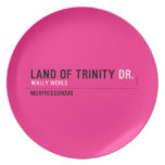 land of trinity  Plates