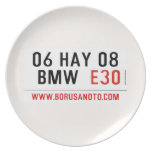 06 HAY 08  BMW   Plates