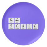 Team
 Yabut  Plates