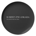 06 MERT 4790  Plates