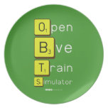 Open
 Bve
 Train
 Simulator  Plates