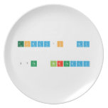    TODAY'S  MY   17th  BIRTHDAY  Plates