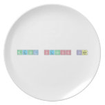 Metal Stress Team  Plates