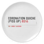 Coronation Quiche  (piss up)  Plates