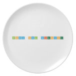 Snowy Owl Scientist  Plates
