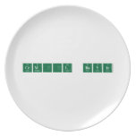 CEMİL BAYIR  Plates