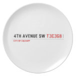 4th Avenue SW  Plates