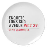enquete  lons sud  avenue  Plates