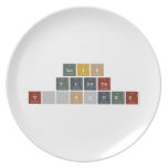 Luis
 Tuesta
 Vásquez  Plates