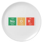 Noor  Plates