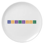 backtfront  Plates