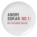 ANDRE SOKAK  Plates