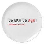 06 ekk 06  Plates