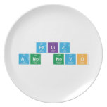 Feliz 
 ano novo  Plates