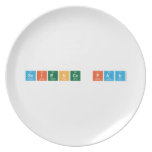Science Fair  Plates