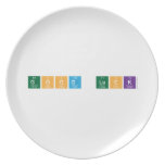 Good Luck  Plates