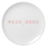 RAHIL KHAN
   Plates