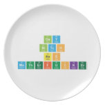 Gay
 Bitch
 Ass
 MotherFucker  Plates