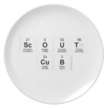 SCOUT
 CUB  Plates