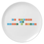 Ai Ilmiati
 And
 Yafie Al Islami  Plates
