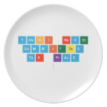 Yoshi Never
 Committed
 Tax Fraud
   Plates