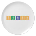 SUBASH  Plates