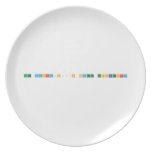 The Maharajh’s Secret Laboratory   Plates