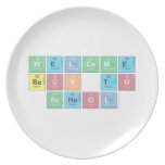 Welcome  back to School   Plates
