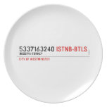 5337163240  Plates