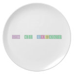 Its My Birthday  Plates
