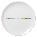 Othman Al Soudi  Plates