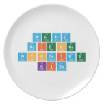 Weird  Science Woodside Kids  Plates