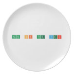 Papa of the Year  Plates
