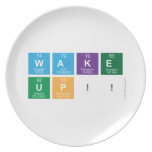 WAKE
 UP!!  Plates