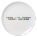 JERRY BOY TIQUIA
 MARICON VILLALUNA  Plates