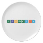 TRANSMEDIA  Plates