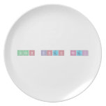 tarun singh negi  Plates