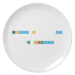 TODAY'S      MY   17th BIRTHDAY  Plates